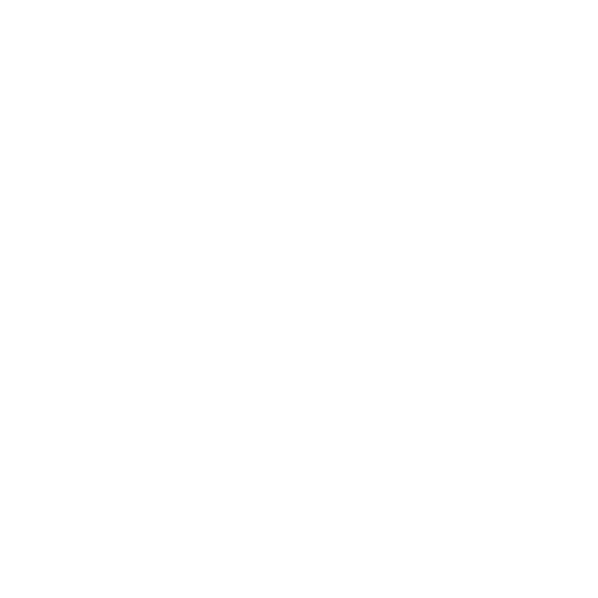 MV Logo